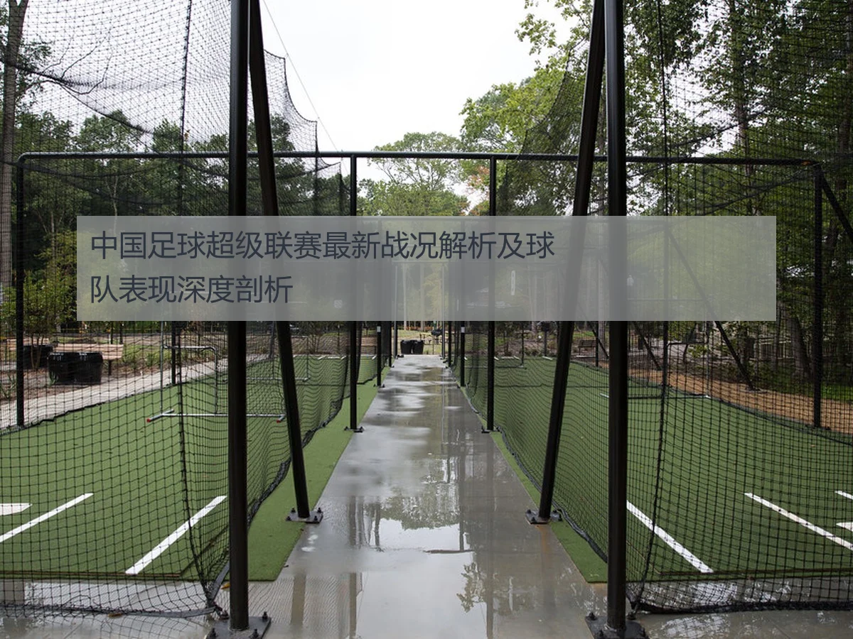 中国足球超级联赛最新战况解析及球队表现深度剖析